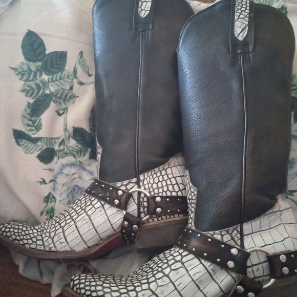 Freebird 7 lusitano